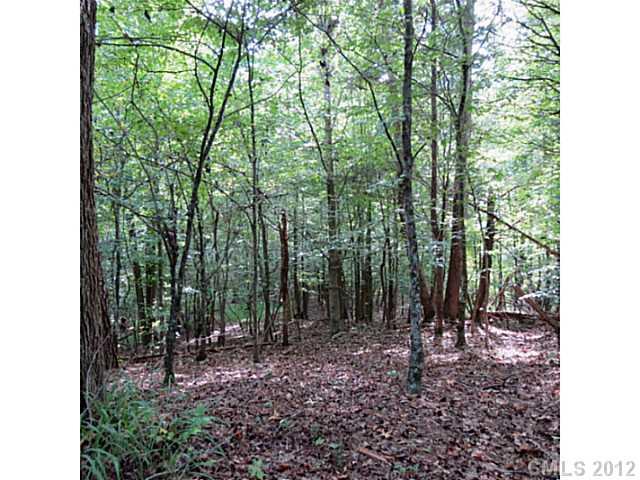 10-ac Rocky Road South Clover, SC 29710 - Photo 14 of 16