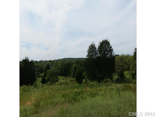 10-ac Rocky Road South Clover, SC 29710 - Photo 5 of 16