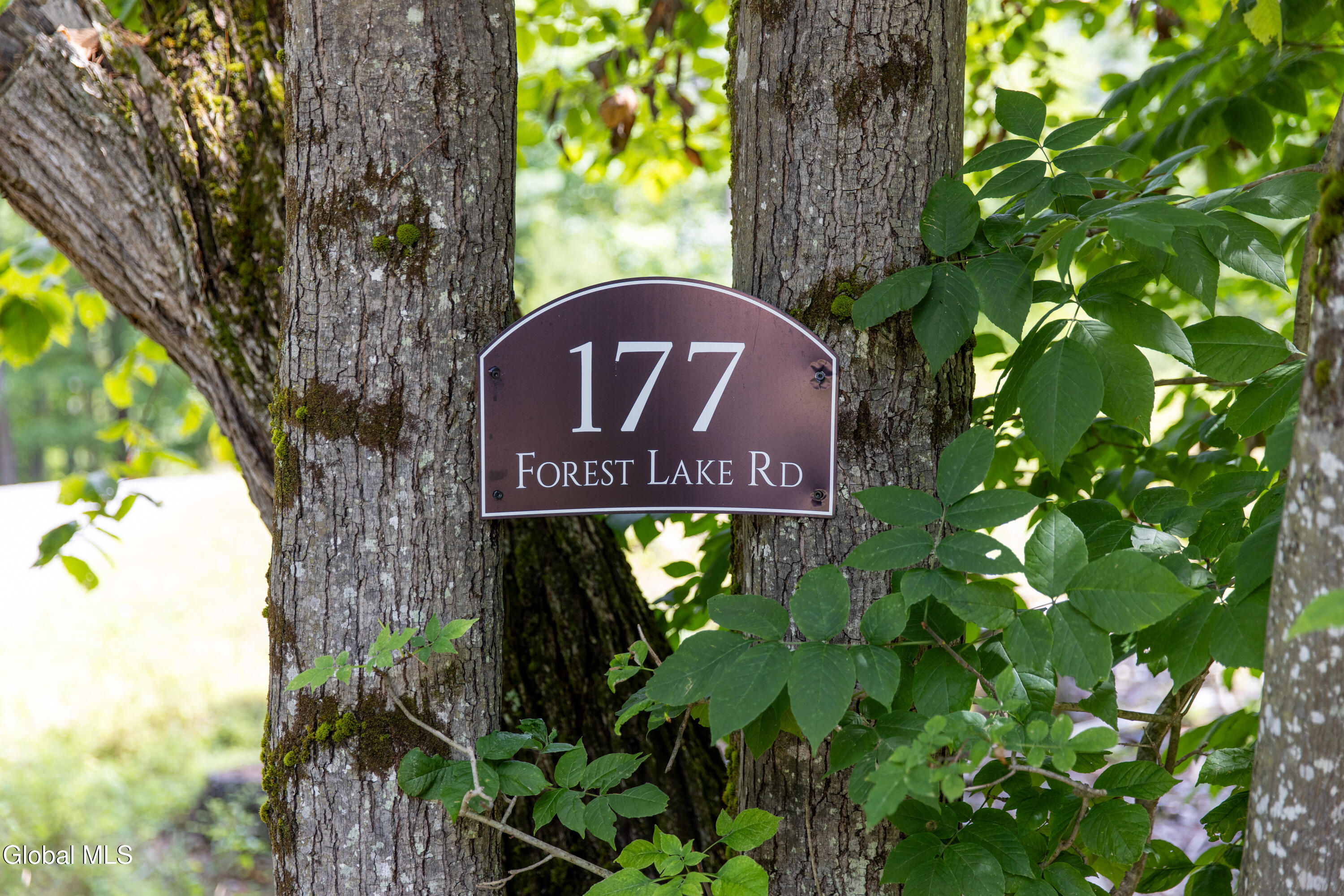 177 Forest Lake Road Warrensburg, NY 12817 - Photo 8 of 54 177ForestLake2025-7