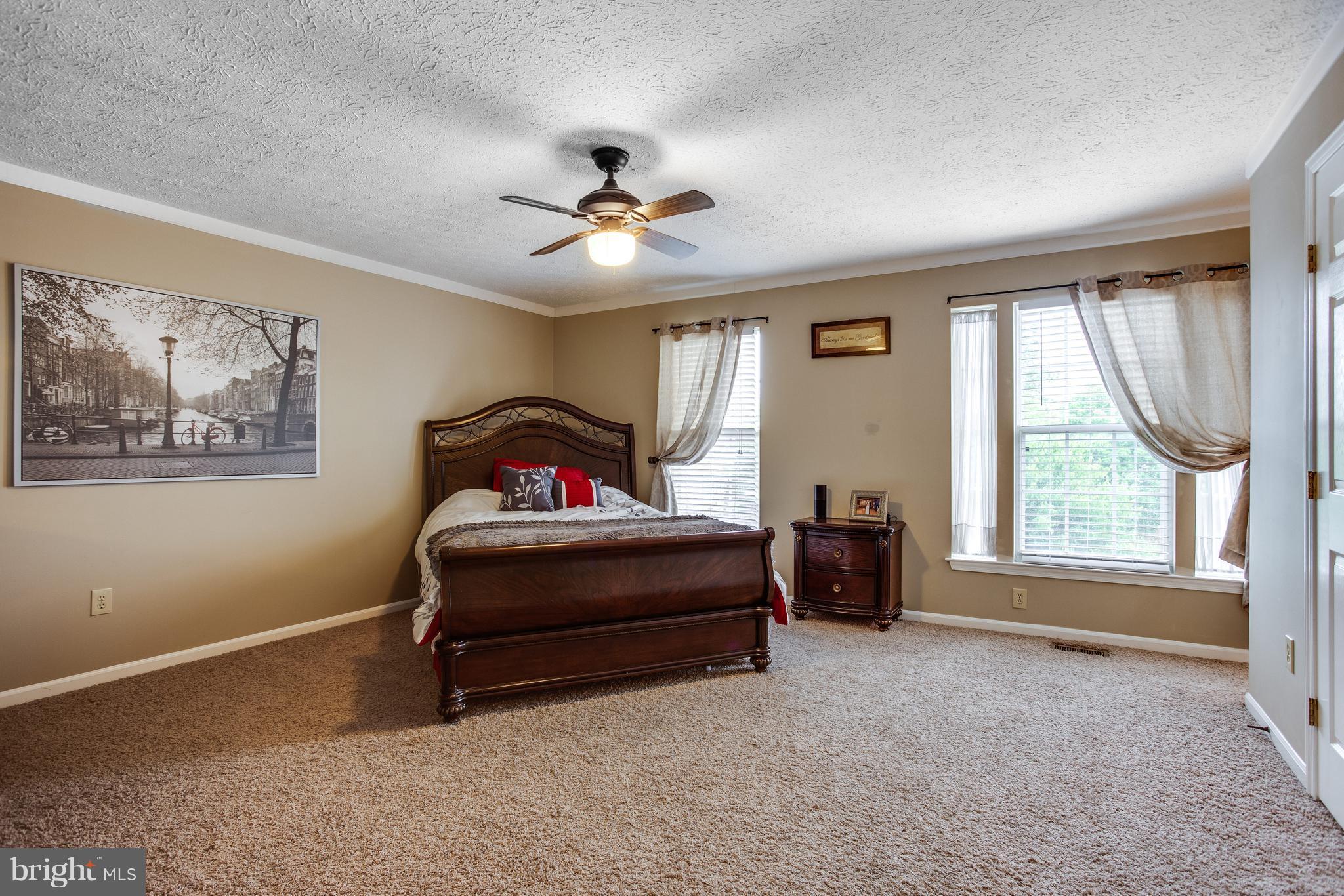 595 Sweetshade Avenue Frederick, MD 21703 - Photo 18 of 29 Generous sized Master Bedroom