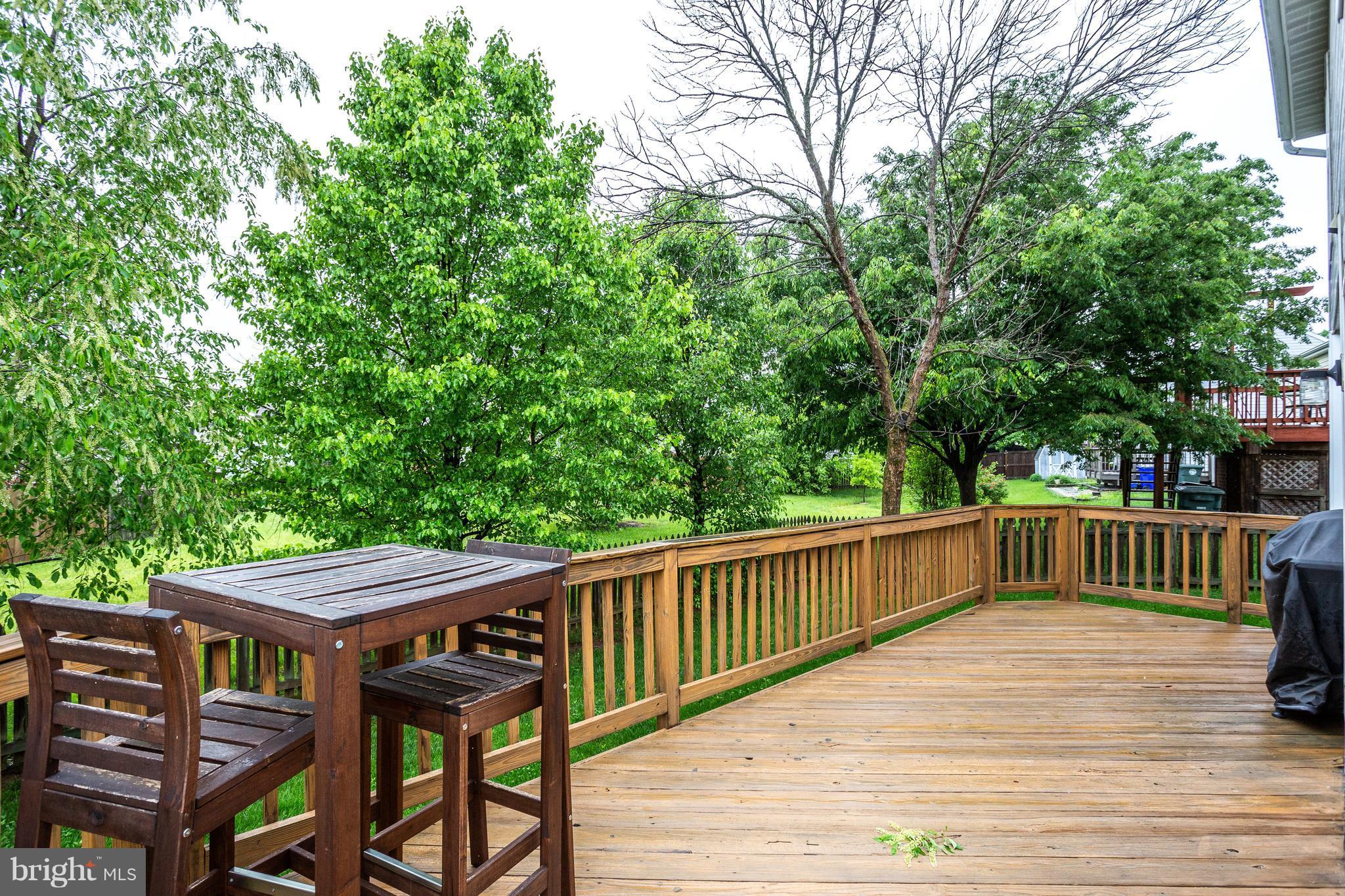 595 Sweetshade Avenue Frederick, MD 21703 - Photo 27 of 29 Boundless Deck!