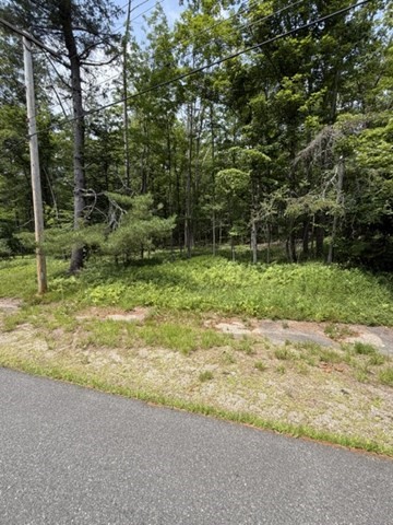 0 Cyrus Stage Road Rowe, MA 01367 - Photo 16 of 16 Gallery Image 16
