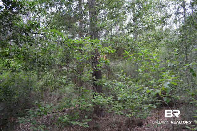 0 Wolf Bay Lane Foley, AL 36535 - Photo 3 of 4 A great homesite