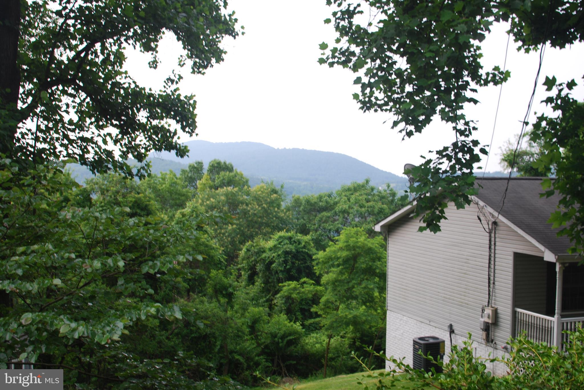 140 Arrowood Road Linden, VA 22642 - Photo 2 of 49 a view of a house with a tree in front of it