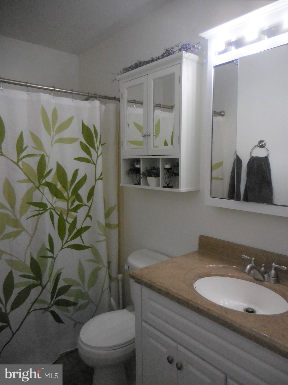 140 Arrowood Road Linden, VA 22642 - Photo 24 of 49 a bathroom with a granite countertop toilet a sink and a mirror