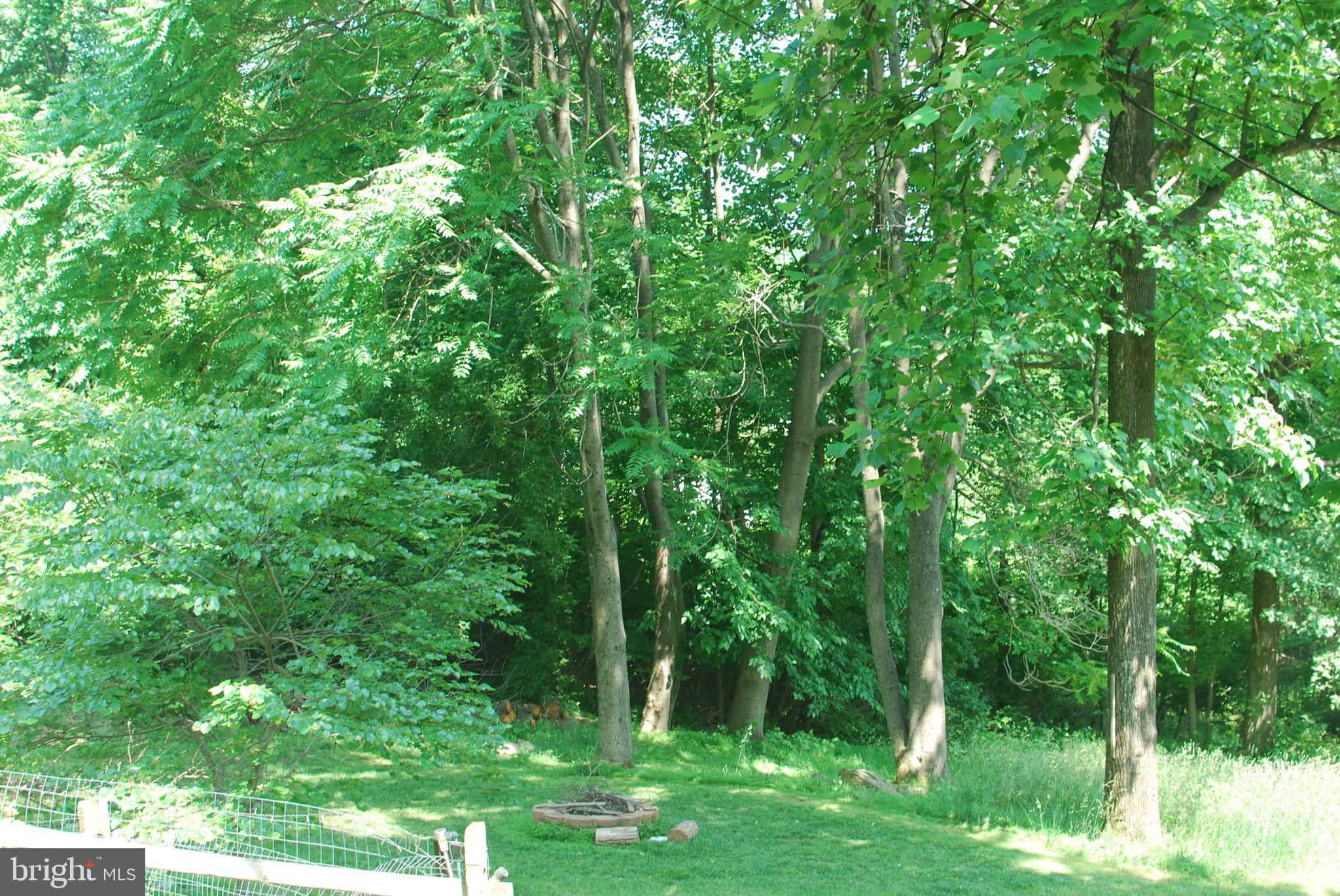 140 Arrowood Road Linden, VA 22642 - Photo 38 of 49 a view of a lush green forest