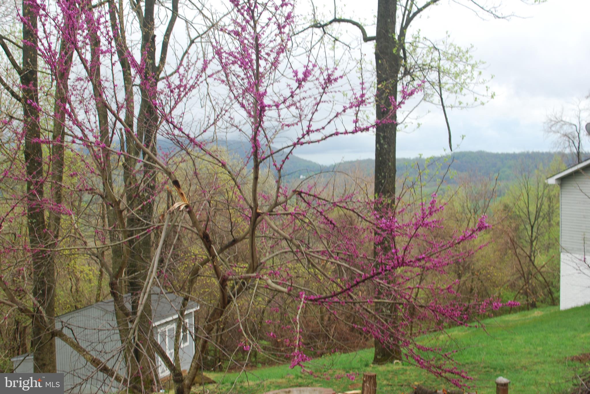 140 Arrowood Road Linden, VA 22642 - Photo 48 of 49 a backyard of a house with lots of green space