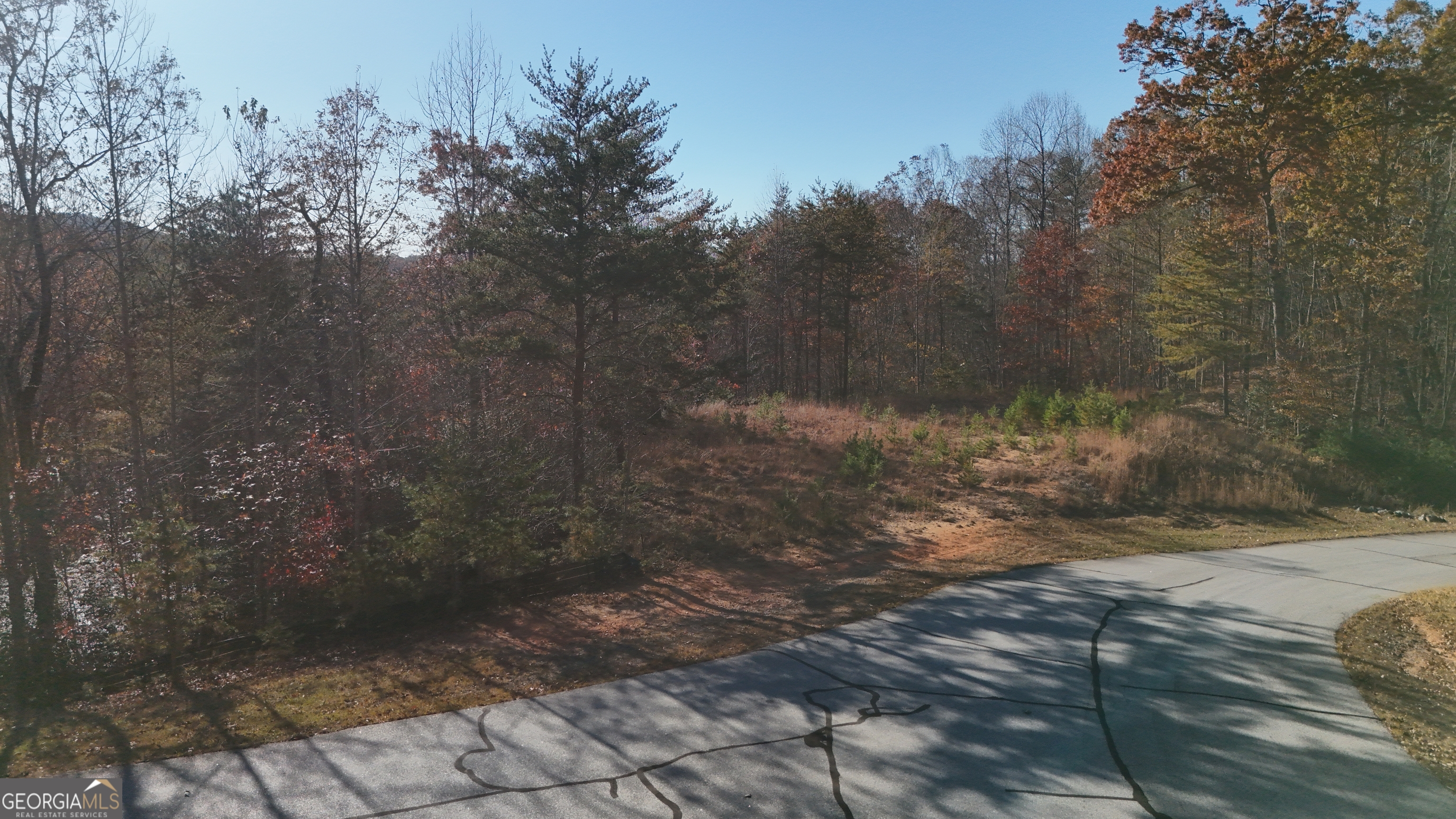 Lot 197 Spring Winds Drive Cleveland, GA 30528 - Photo 4 of 7