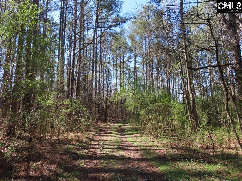 1672 Dixired Road Leesville, SC 29070 - Photo 31 of 67