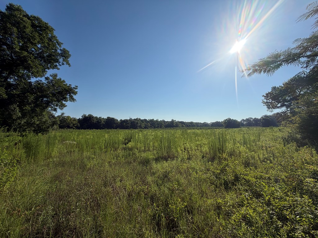 1 Nichols Road Pinckard, AL 36350 - Photo 6 of 29