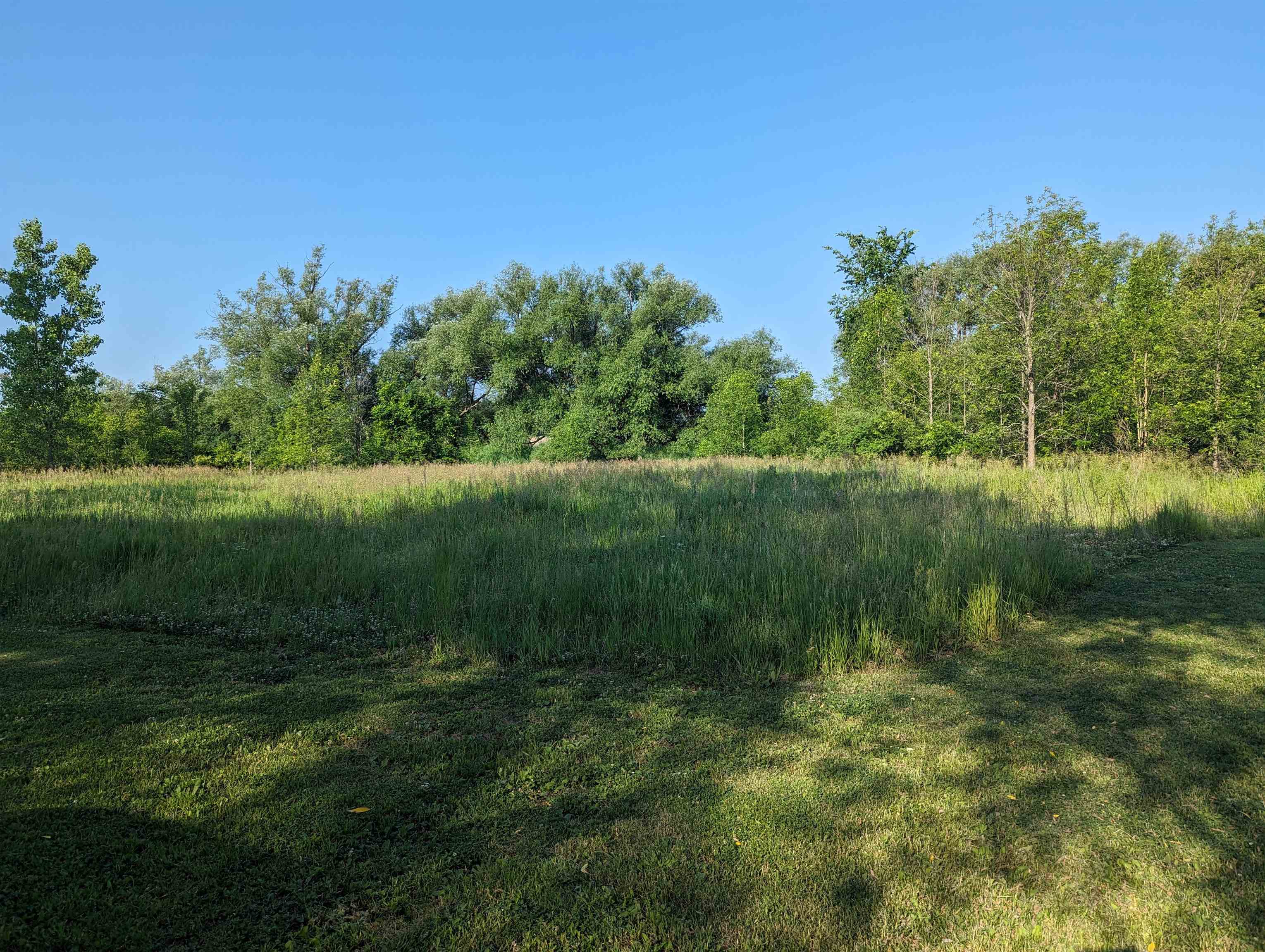 2297 Lentner Road Turner, MI 48765 - Photo 9 of 31 Gallery Image 9