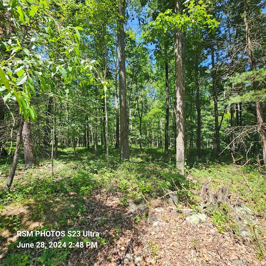 5431-35 Book Road Robertsdale, PA 16674 - Photo 5 of 23 Gallery Image 5
