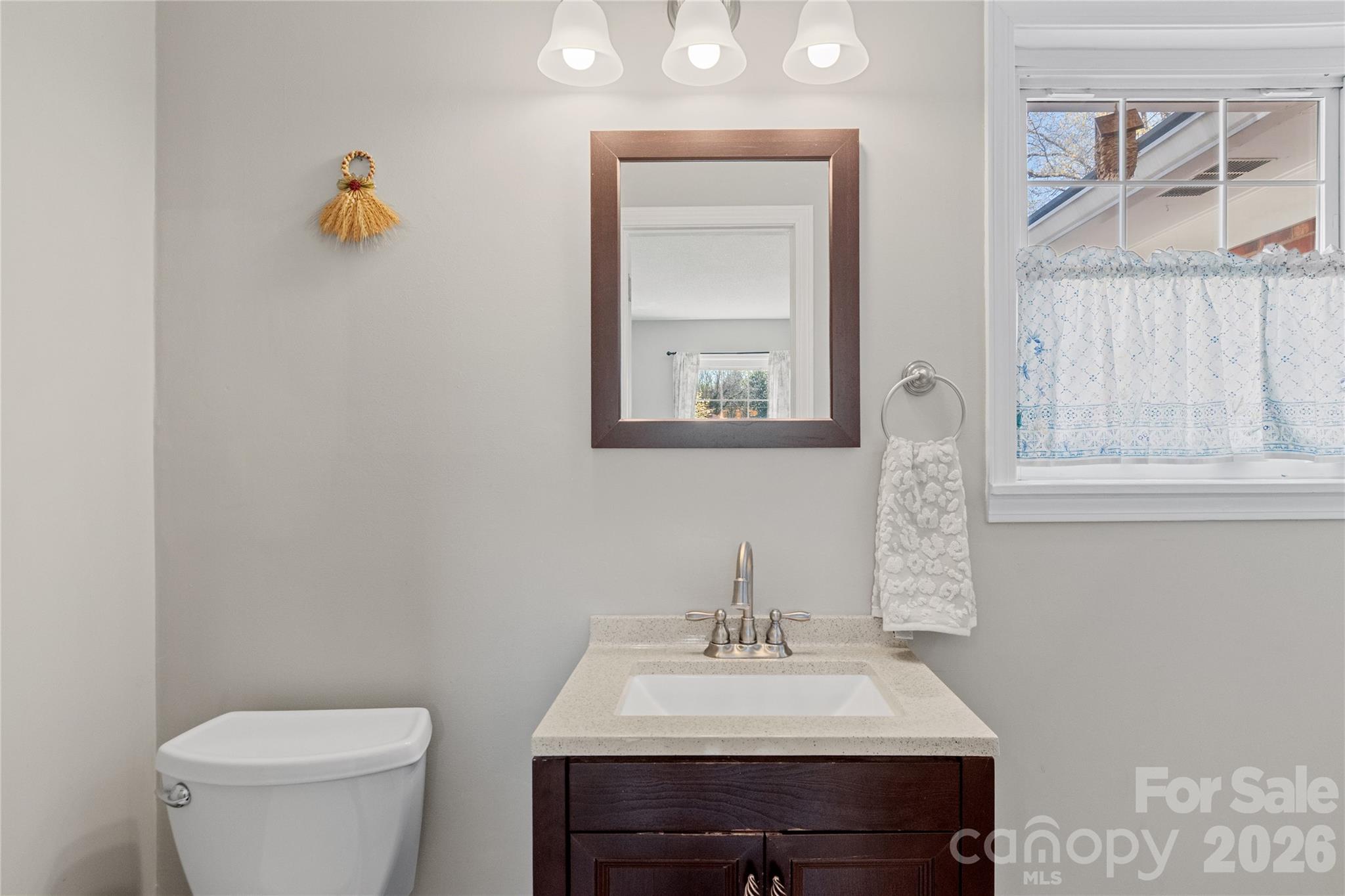 778 Reynolds Road Lewisville, NC 27023 - Photo 16 of 33 a bathroom with a sink a toilet and mirror