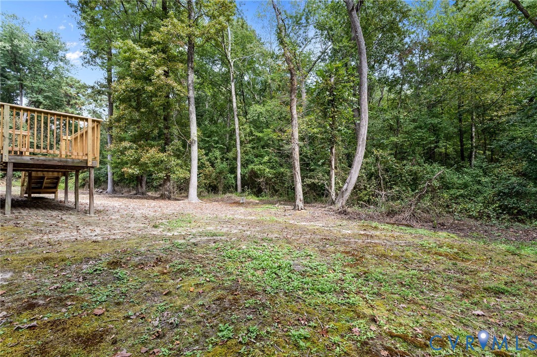 5211 Alberta Road Chesterfield, VA 23832 - Photo 36 of 43 a view of backyard with green space