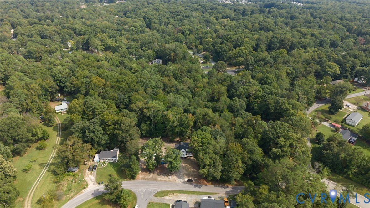 5211 Alberta Road Chesterfield, VA 23832 - Photo 41 of 43 an aerial view of a forest with houses