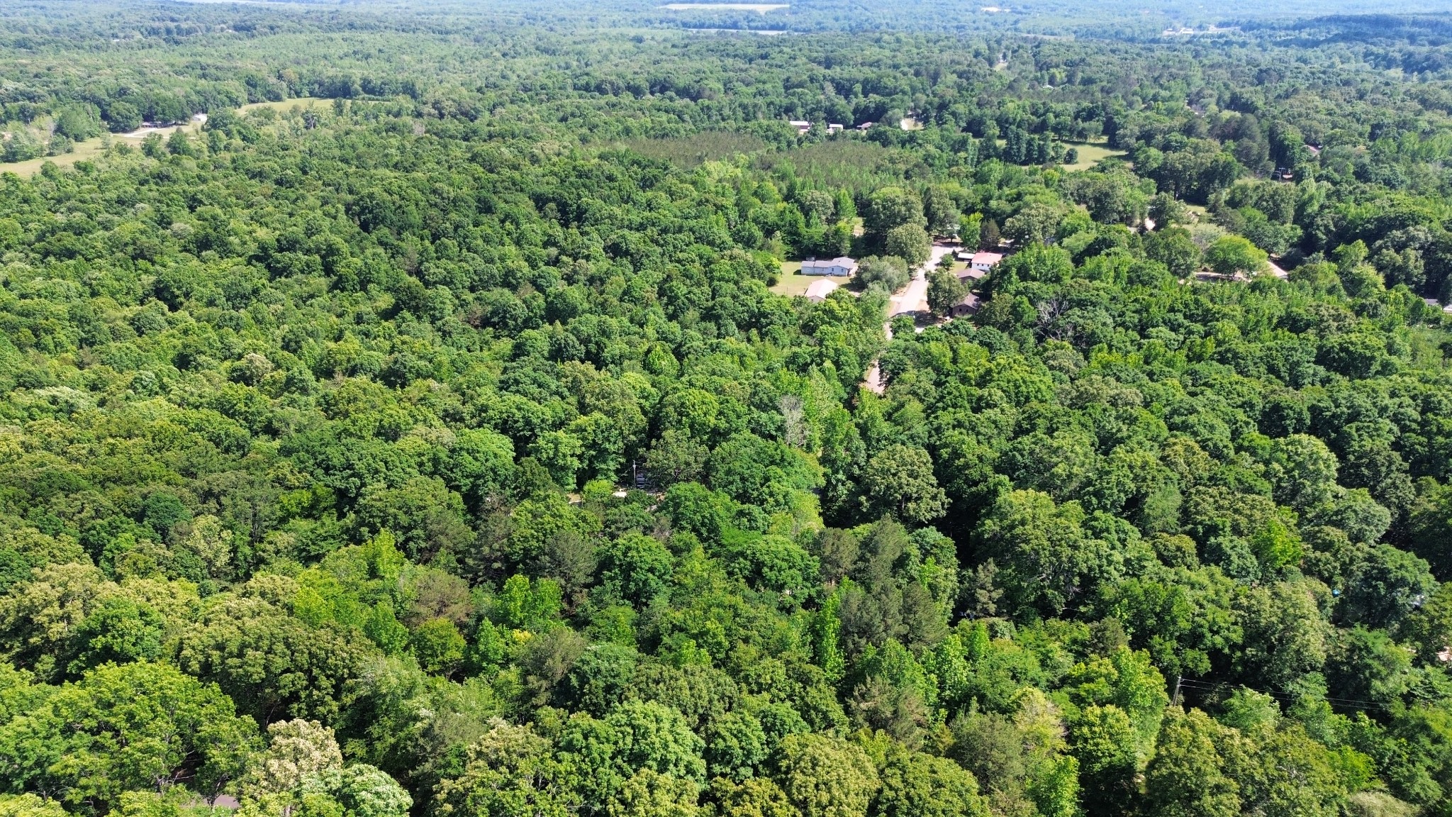 0 George Street Camden, TN 38320 - Photo 4 of 12 an aerial view of a house with a yard