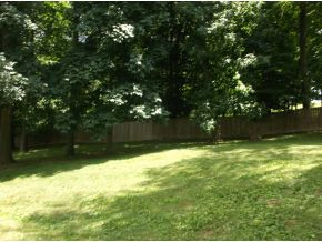 645 Pleasant Valley Road Jonesborough, TN 37659 - Photo 15 of 21 Backyard View