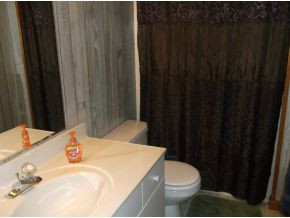 645 Pleasant Valley Road Jonesborough, TN 37659 - Photo 19 of 21 Basement Bath