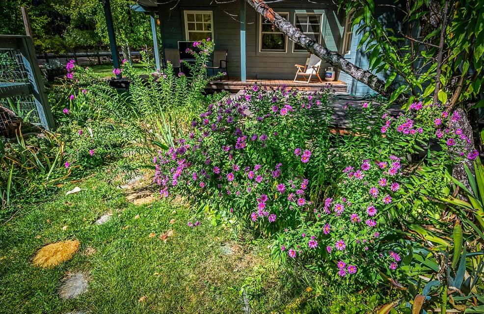 399 Airport Road Trinity Center, CA 96091 - Photo 36 of 52 side yard