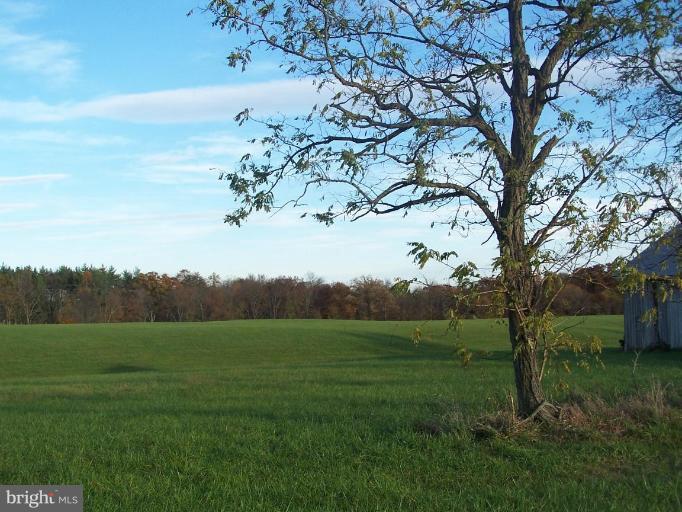 14413 Old Frederick Road Rocky Ridge, MD 21778 - Photo 3 of 26 a view of a field with a tree in the background