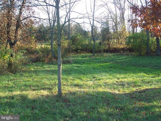14413 Old Frederick Road Rocky Ridge, MD 21778 - Photo 22 of 26 a view of a garden