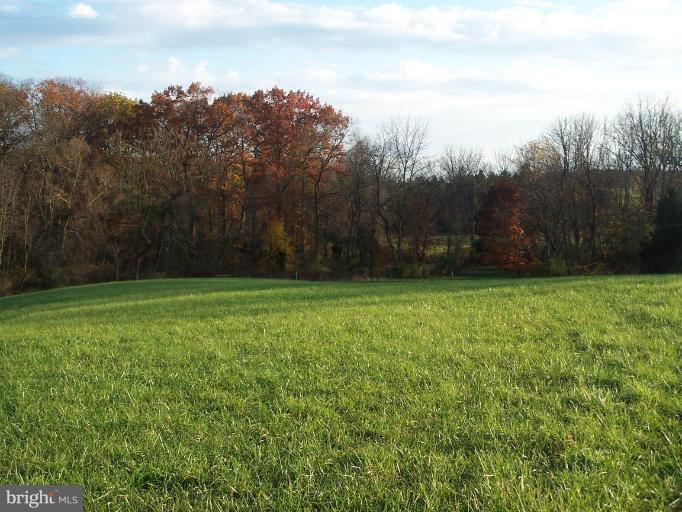 14413 Old Frederick Road Rocky Ridge, MD 21778 - Photo 23 of 26 a view of a yard