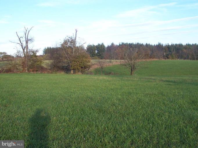 14413 Old Frederick Road Rocky Ridge, MD 21778 - Photo 4 of 26 a view of field with large trees