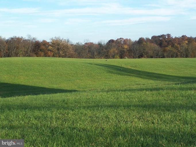 14413 Old Frederick Road Rocky Ridge, MD 21778 - Photo 6 of 26 a view of a field of grass and trees