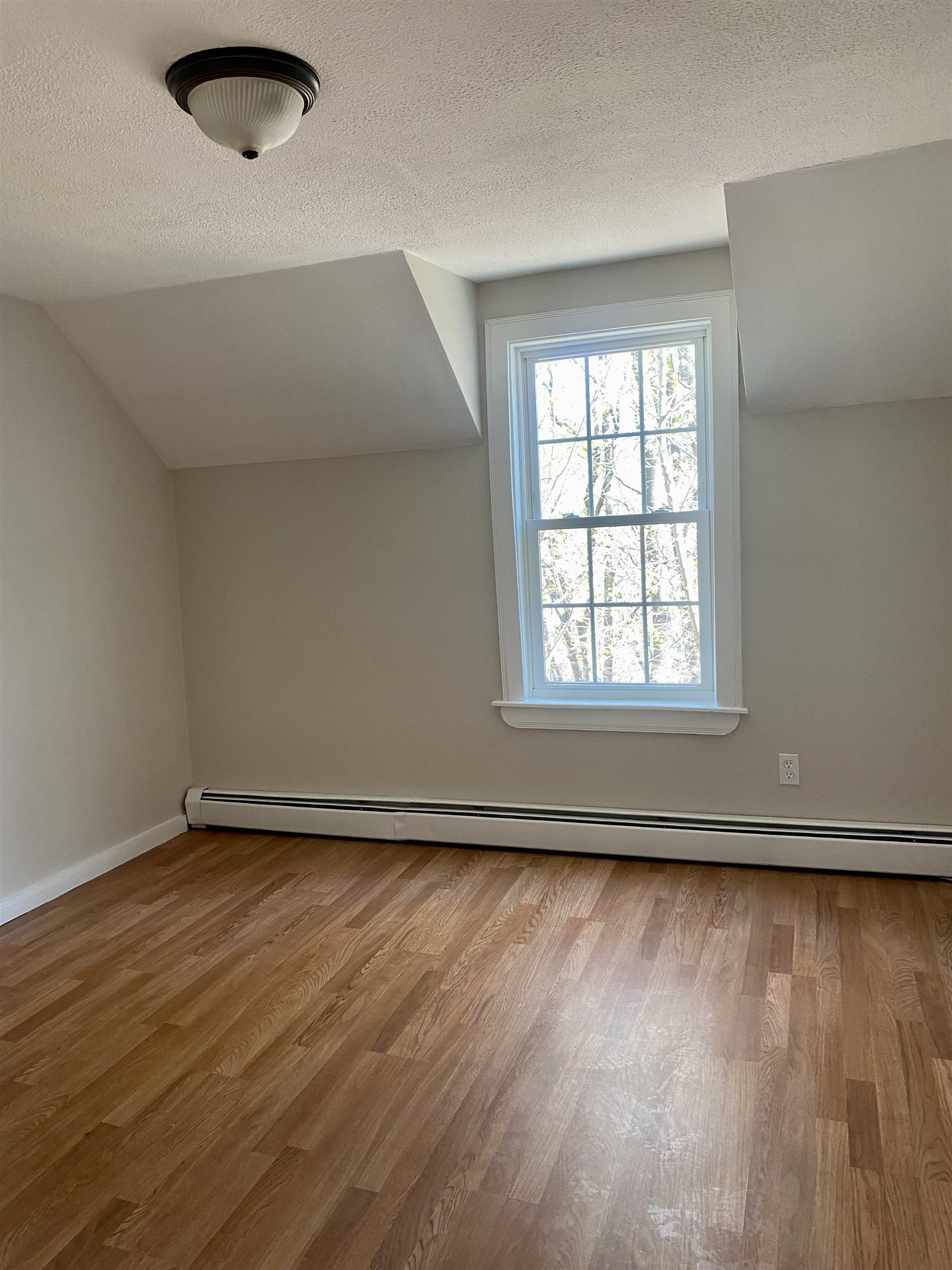 14 Springfield Court Rochester, NH 03867 - Photo 14 of 21