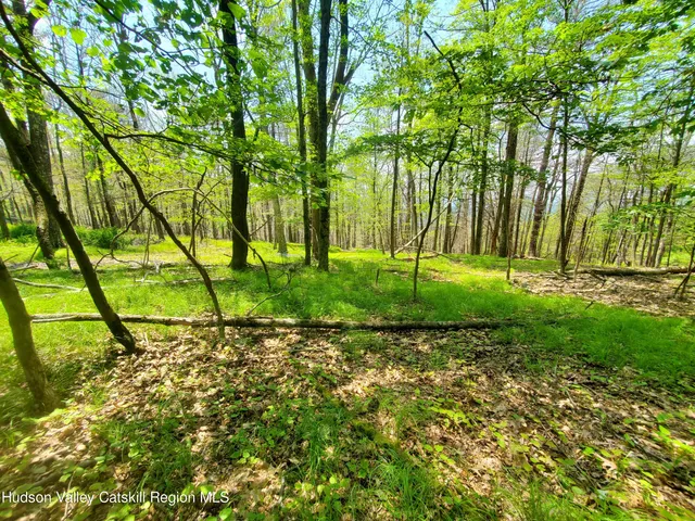 $45,000 | Tbd Tbd Piney Lane, Pine Bush, NY 12566