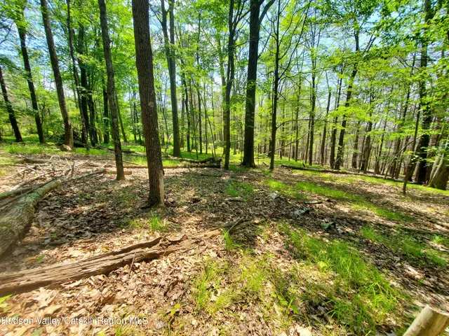 $45,000 | Tbd Tbd Piney Lane, Pine Bush, NY 12566
