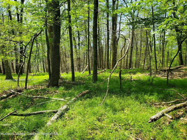 $45,000 | Tbd Tbd Piney Lane, Pine Bush, NY 12566