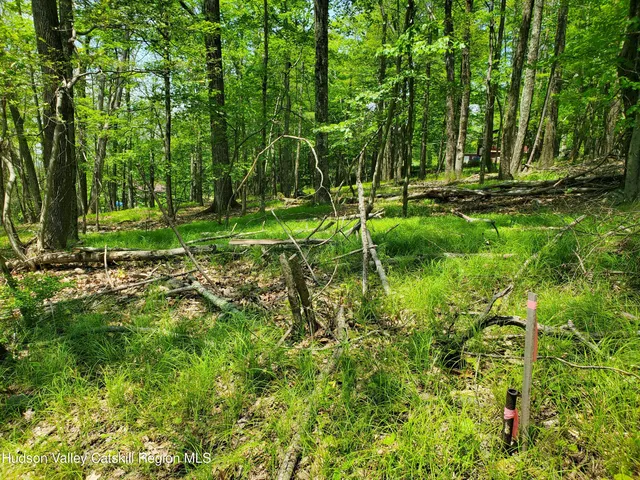 $45,000 | Tbd Tbd Piney Lane, Pine Bush, NY 12566