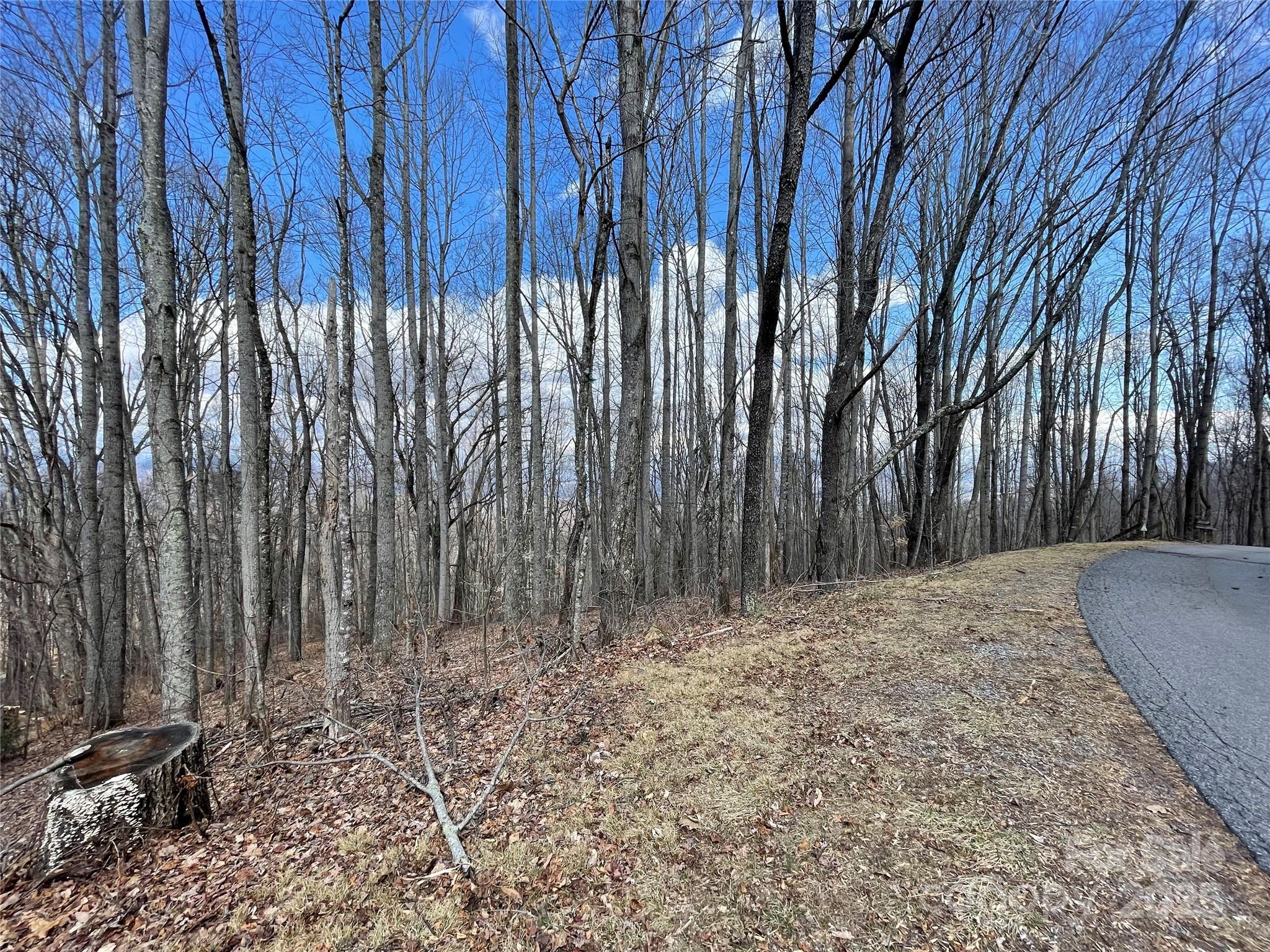 0 Old Country Road Waynesville, NC 28786 - Photo 8 of 28 a view of a backyard of the house