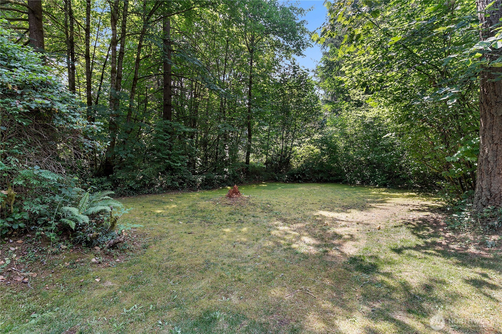 9727 Case Road Southwest Olympia, WA 98512 - Photo 17 of 21 Gallery Image 17