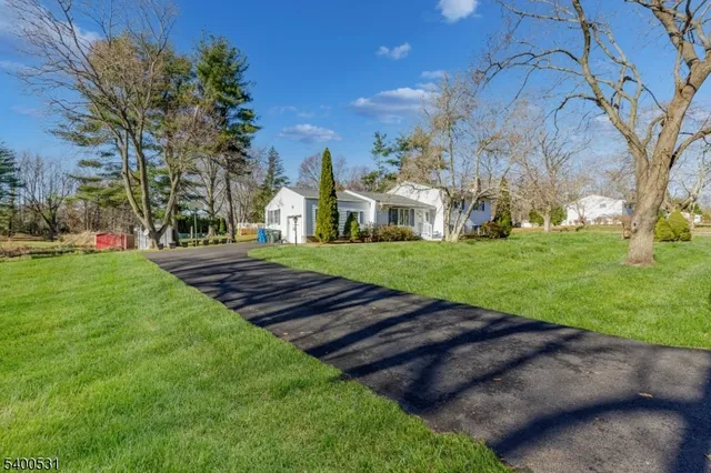 a view of a yard with plants and trees