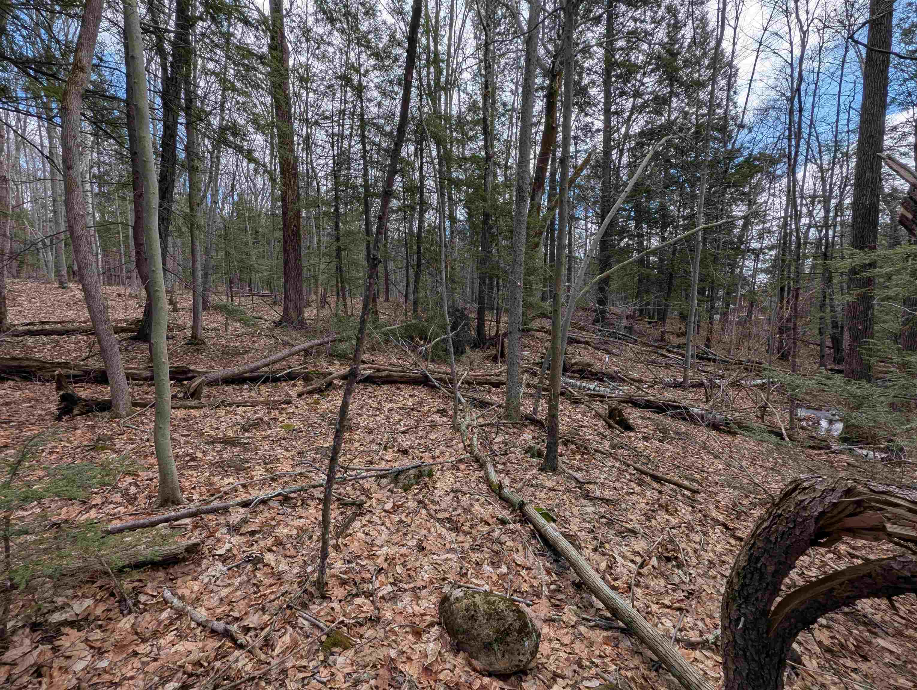 21 Jewett Road Weare, NH 03281 - Photo 14 of 18 Gallery Image 14