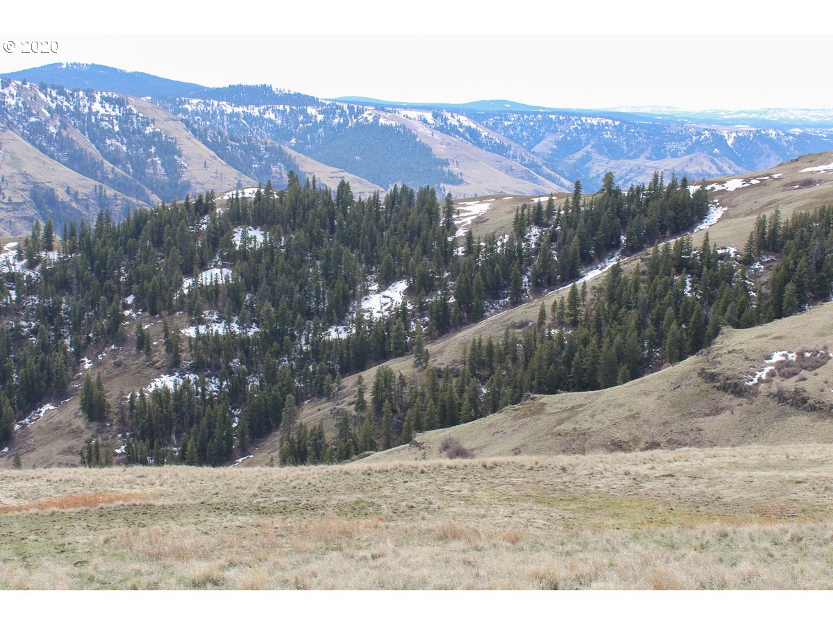 0 Deadhorse Ridge Road Joseph, OR 97846 - Photo 11 of 13 Gallery Image 11