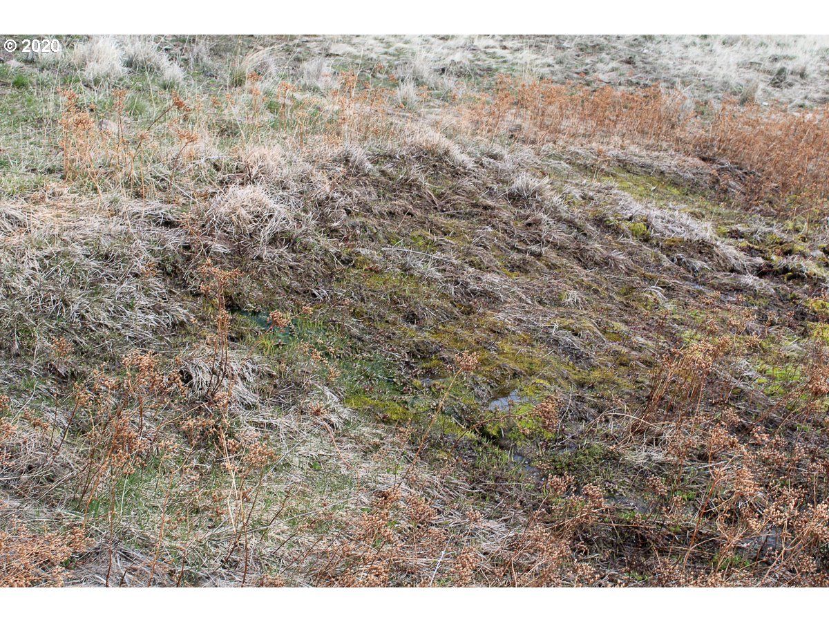 0 Deadhorse Ridge Road Joseph, OR 97846 - Photo 12 of 13 Gallery Image 12