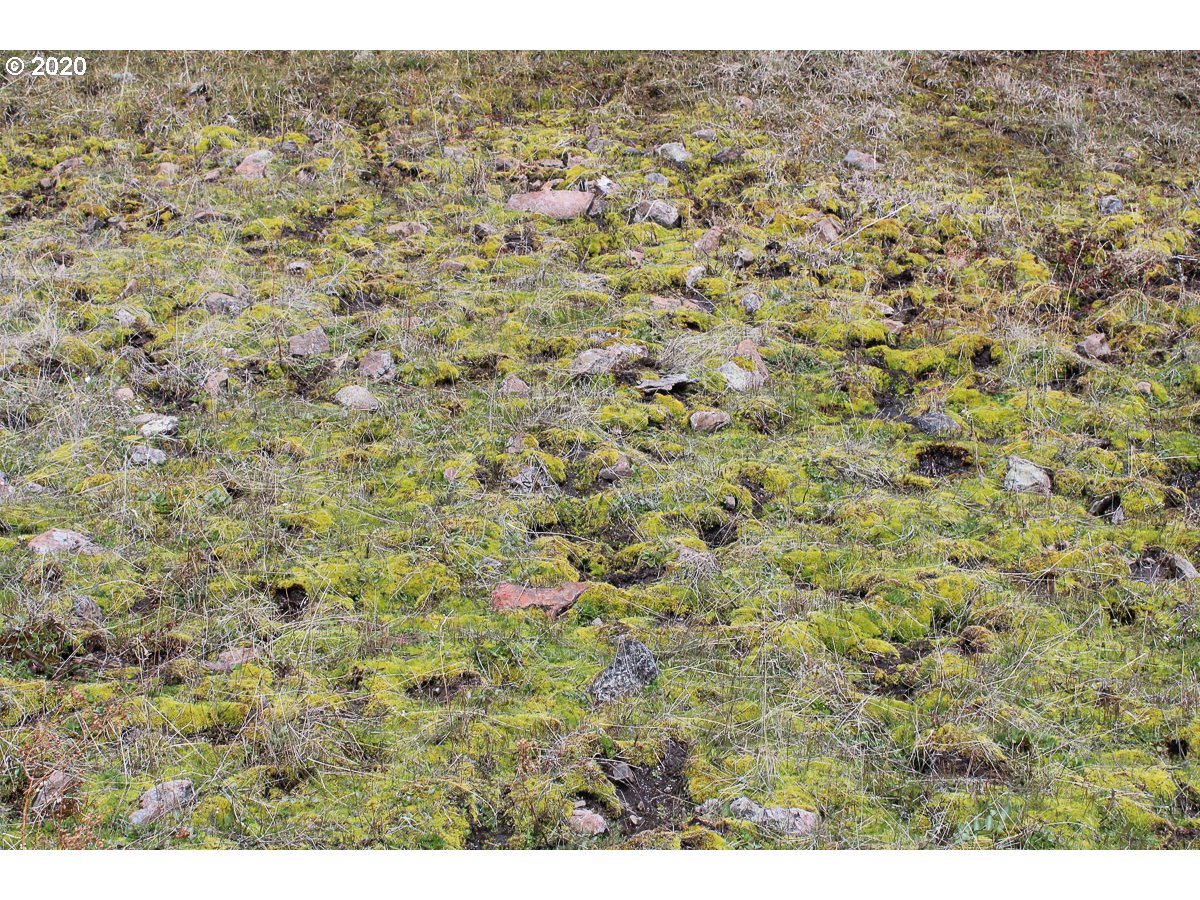 0 Deadhorse Ridge Road Joseph, OR 97846 - Photo 13 of 13 Gallery Image 13