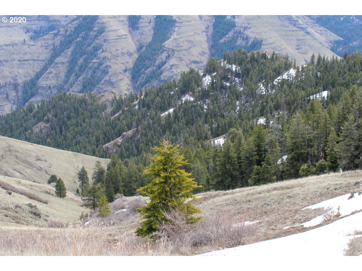 0 Deadhorse Ridge Road Joseph, OR 97846 - Photo 3 of 13 Gallery Image 3