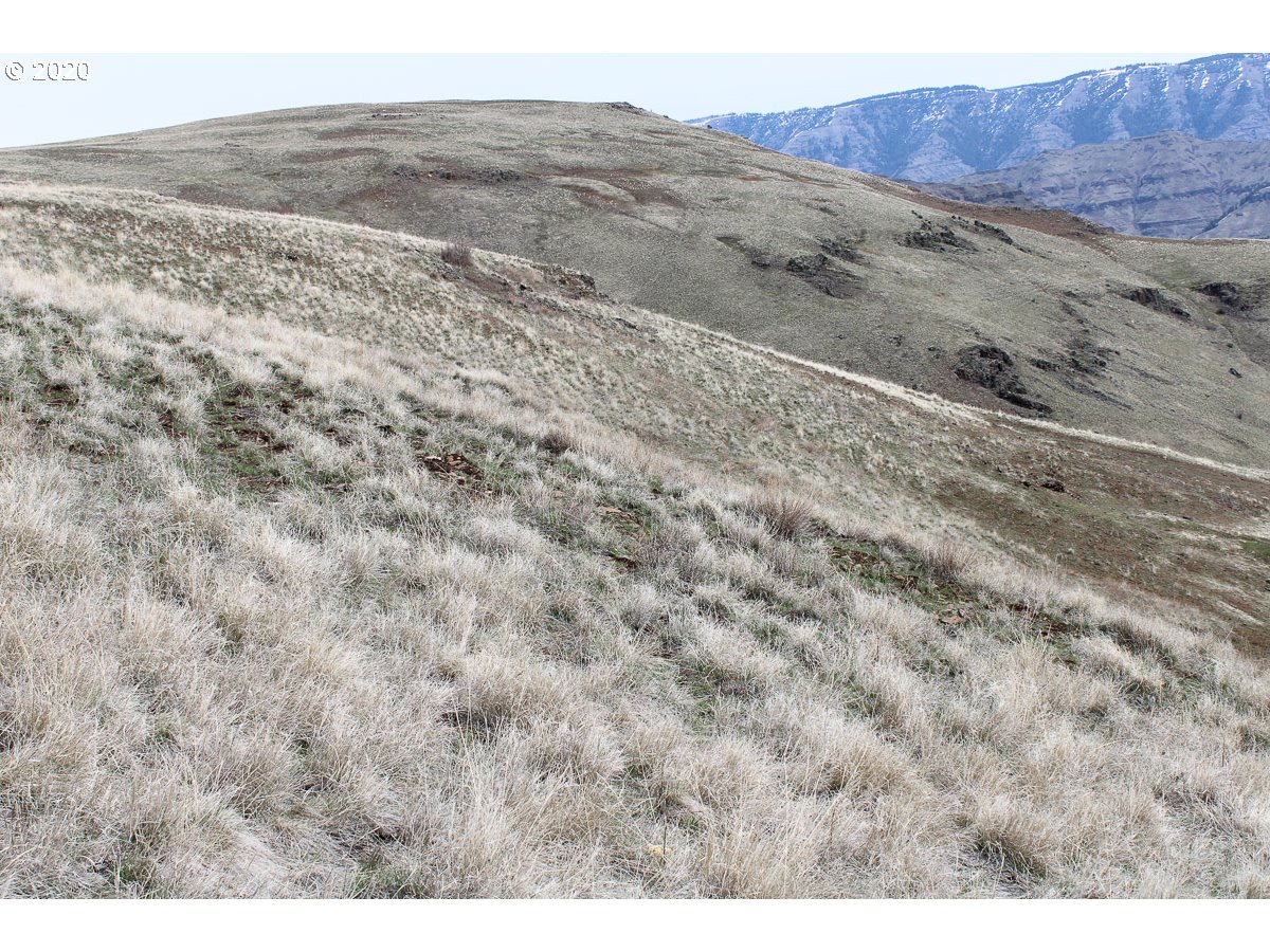0 Deadhorse Ridge Road Joseph, OR 97846 - Photo 4 of 13 Gallery Image 4