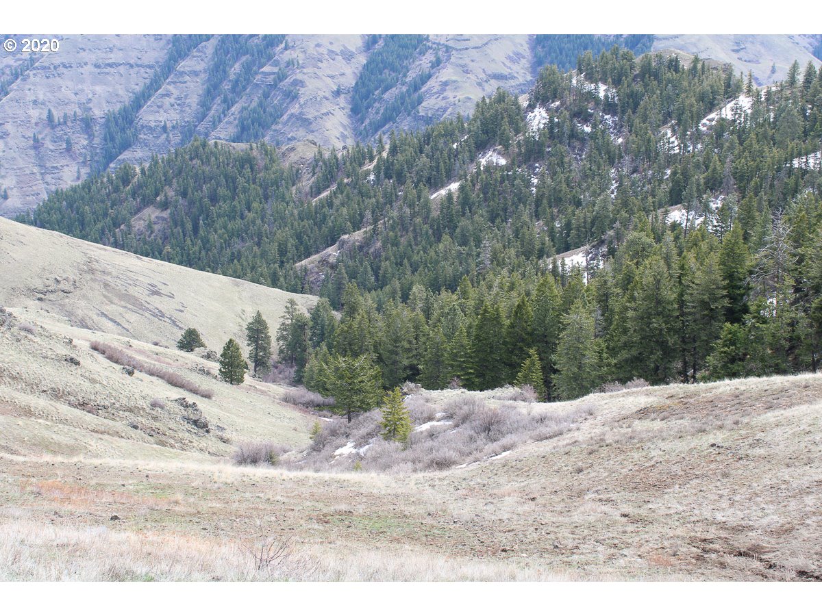 0 Deadhorse Ridge Road Joseph, OR 97846 - Photo 5 of 13 Gallery Image 5