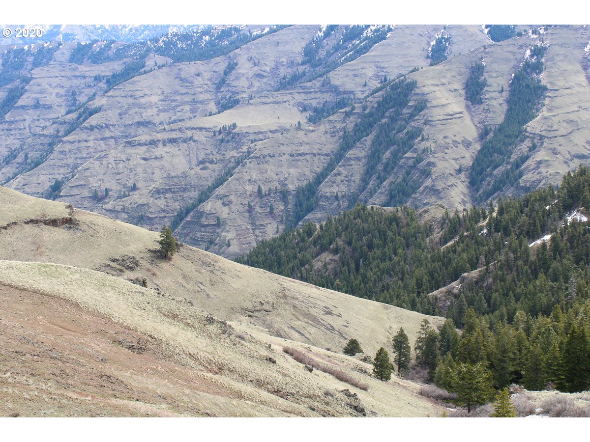 0 Deadhorse Ridge Road Joseph, OR 97846 - Photo 6 of 13 Gallery Image 6