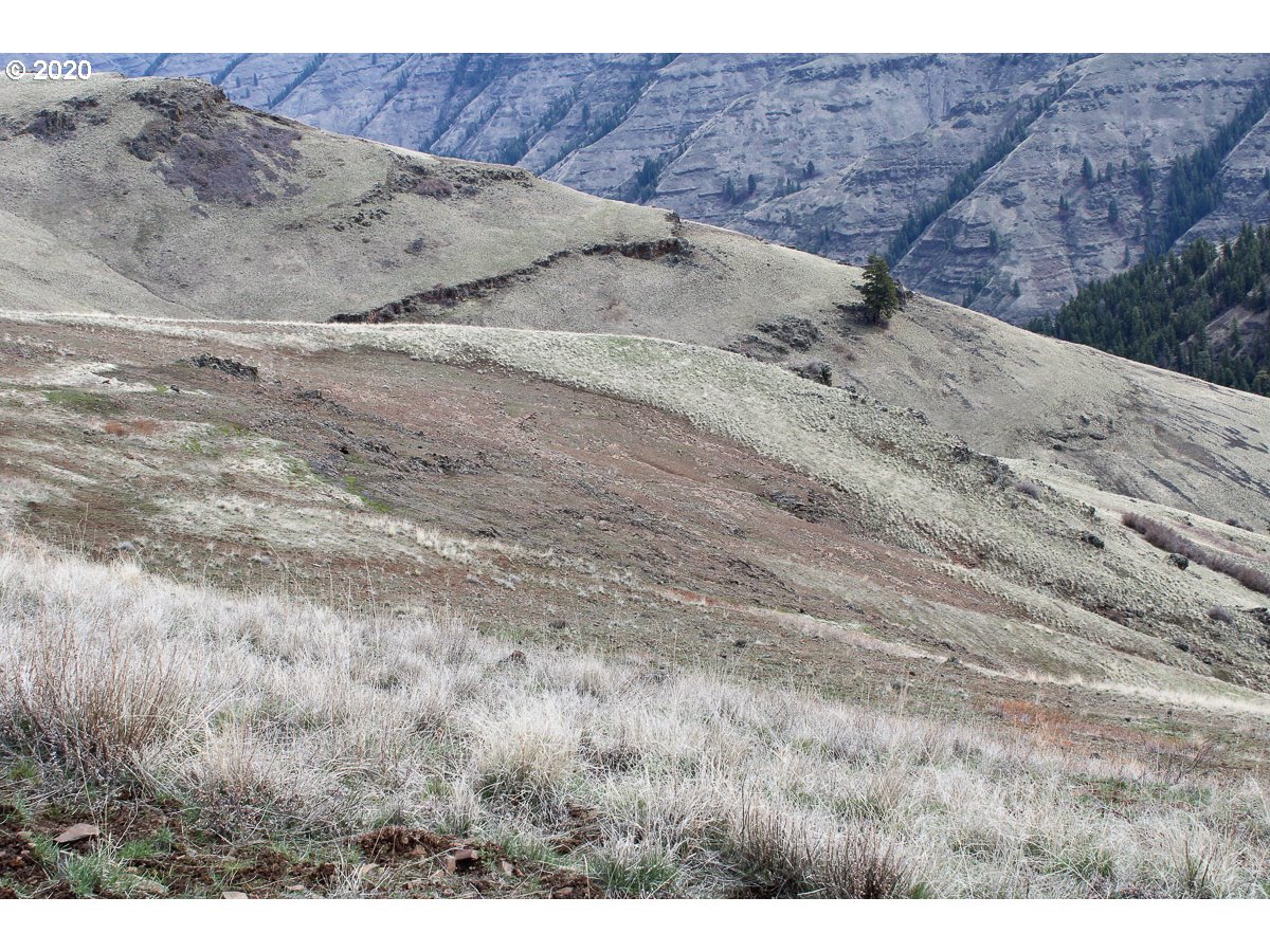 0 Deadhorse Ridge Road Joseph, OR 97846 - Photo 7 of 13 Gallery Image 7