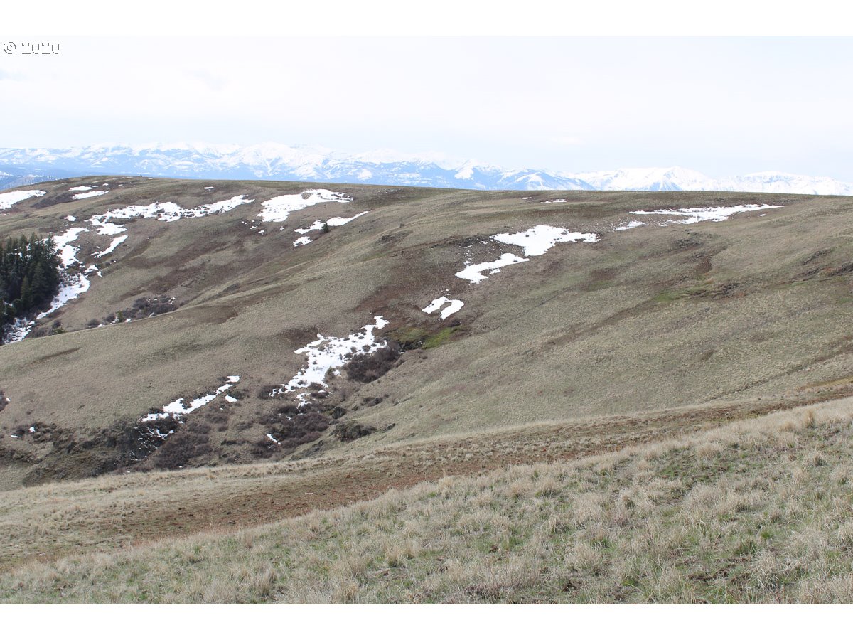 0 Deadhorse Ridge Road Joseph, OR 97846 - Photo 10 of 13 Gallery Image 10
