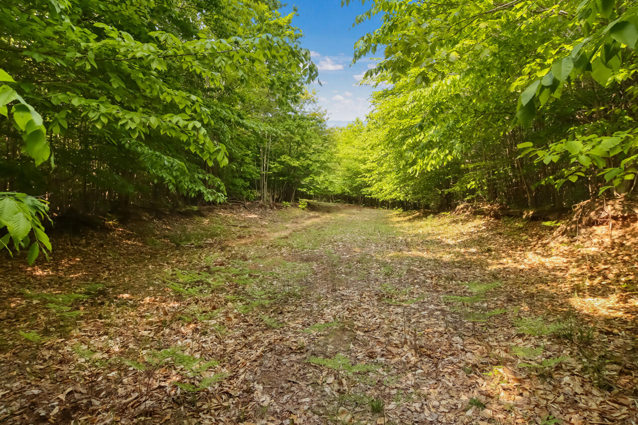 9583 Moon Ridge Road Onekama, MI 49675 - Photo 67 of 73 62-Scene-65