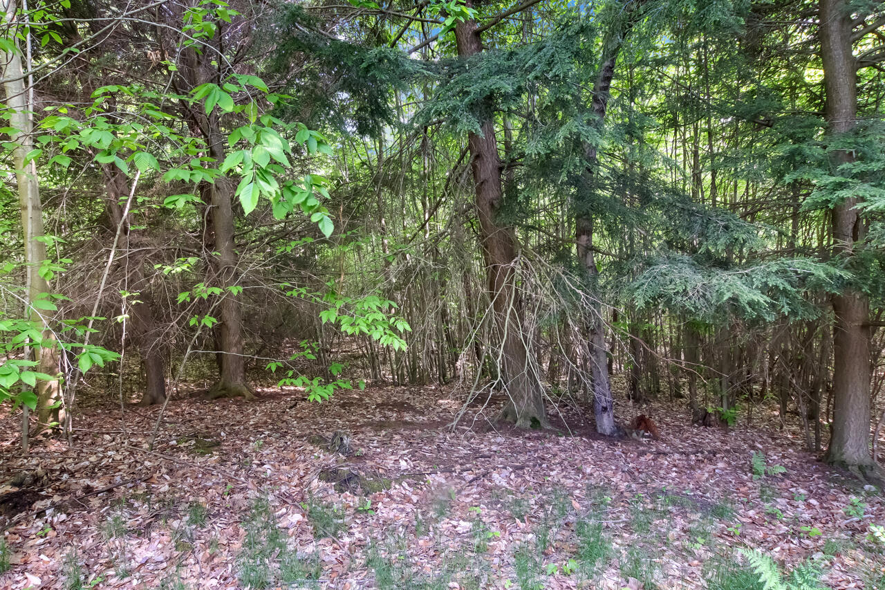 9583 Moon Ridge Road Onekama, MI 49675 - Photo 68 of 73 65-Scene-68