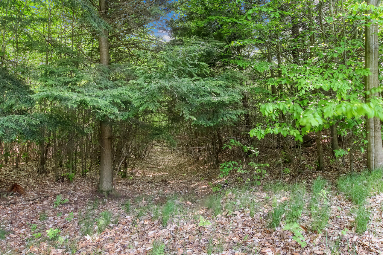 9583 Moon Ridge Road Onekama, MI 49675 - Photo 69 of 73 66-Scene-69