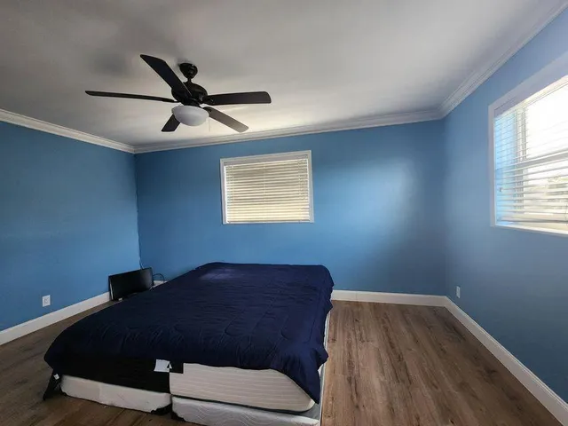 a living room with a bed furniture and a window